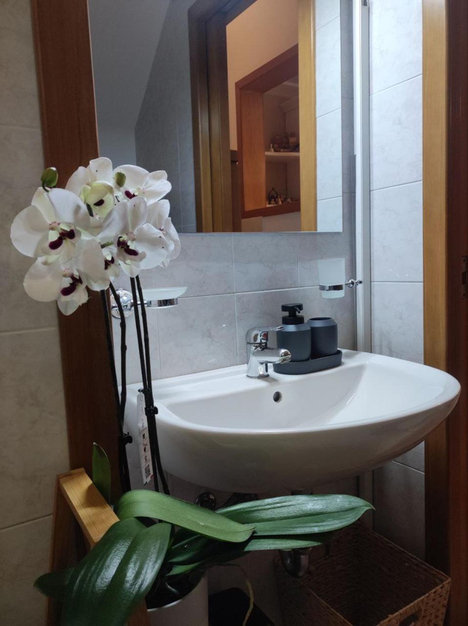 Casa Vacanza Gallipoli Centro Dış mekan fotoğraf