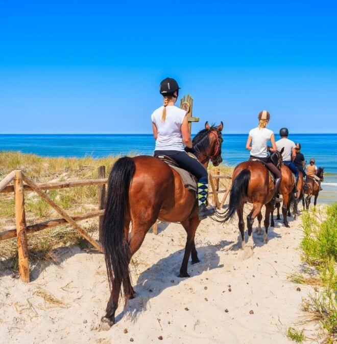 Casa Vacanza Gallipoli Centro Dış mekan fotoğraf